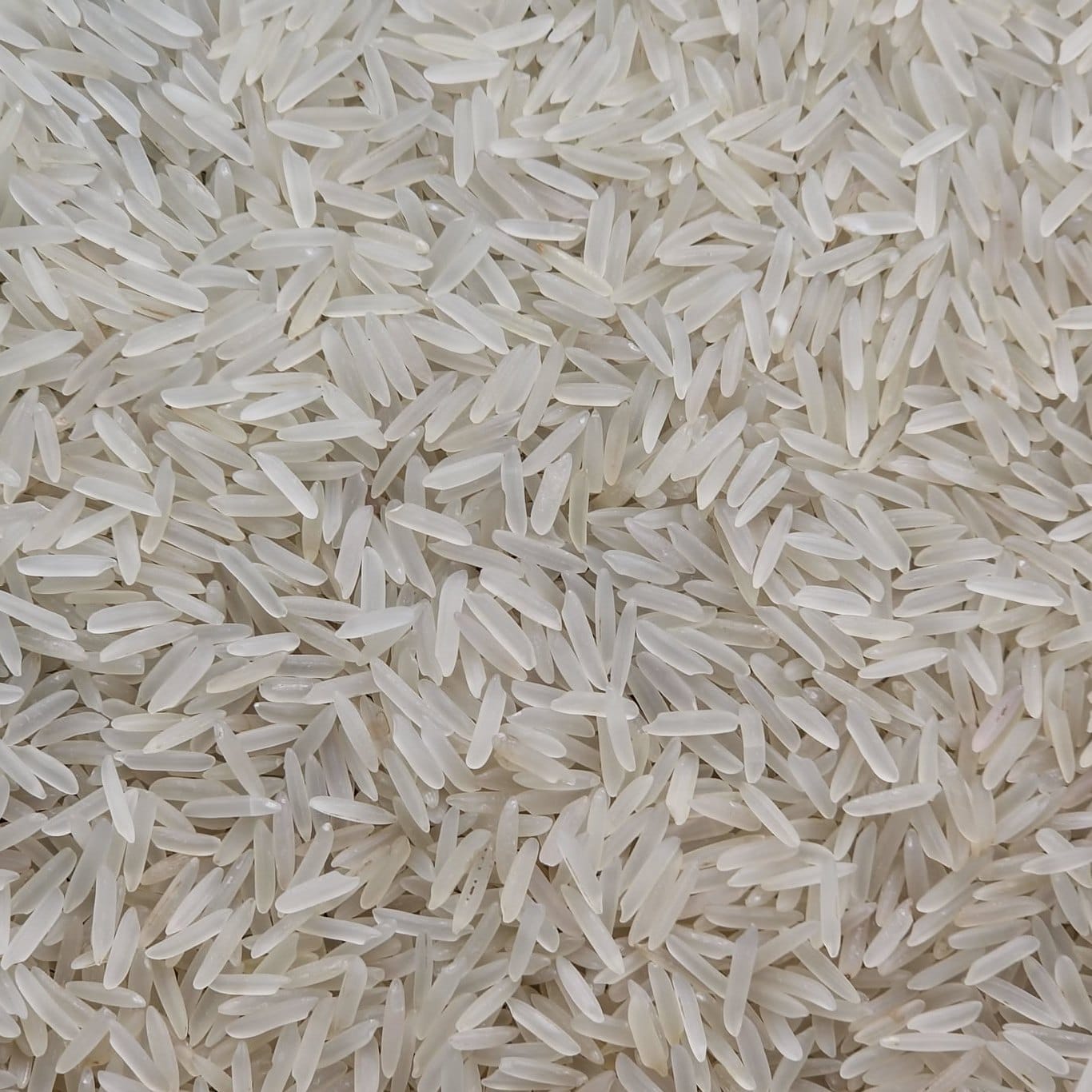 1401 White/Creamy Sella Rice