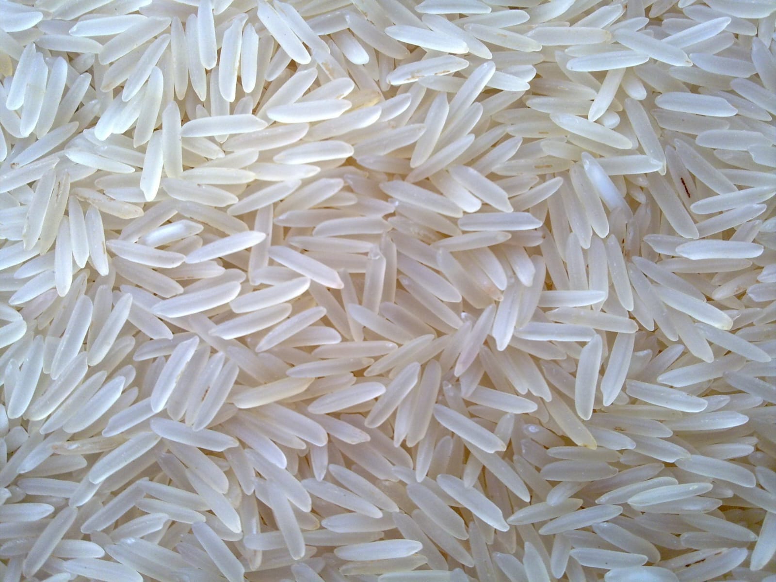 1401 White/Creamy Sella Rice